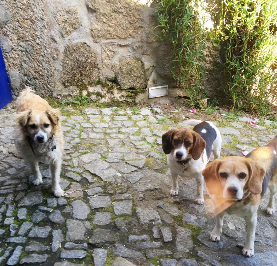 Out Of Town Hostel Castelo de Paiva Exterior photo