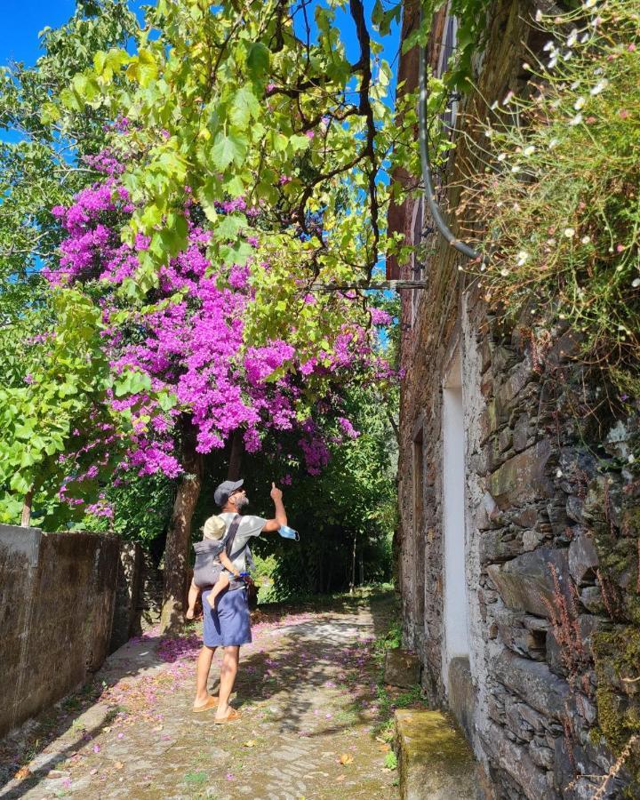 Out Of Town Hostel Castelo de Paiva Exterior photo